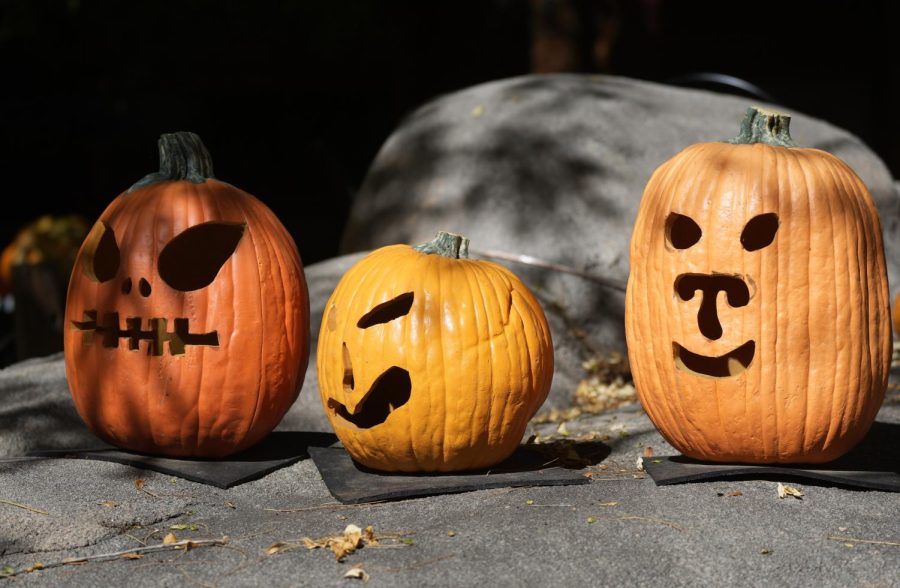 Picture of 3 Jack-o-lanterns.