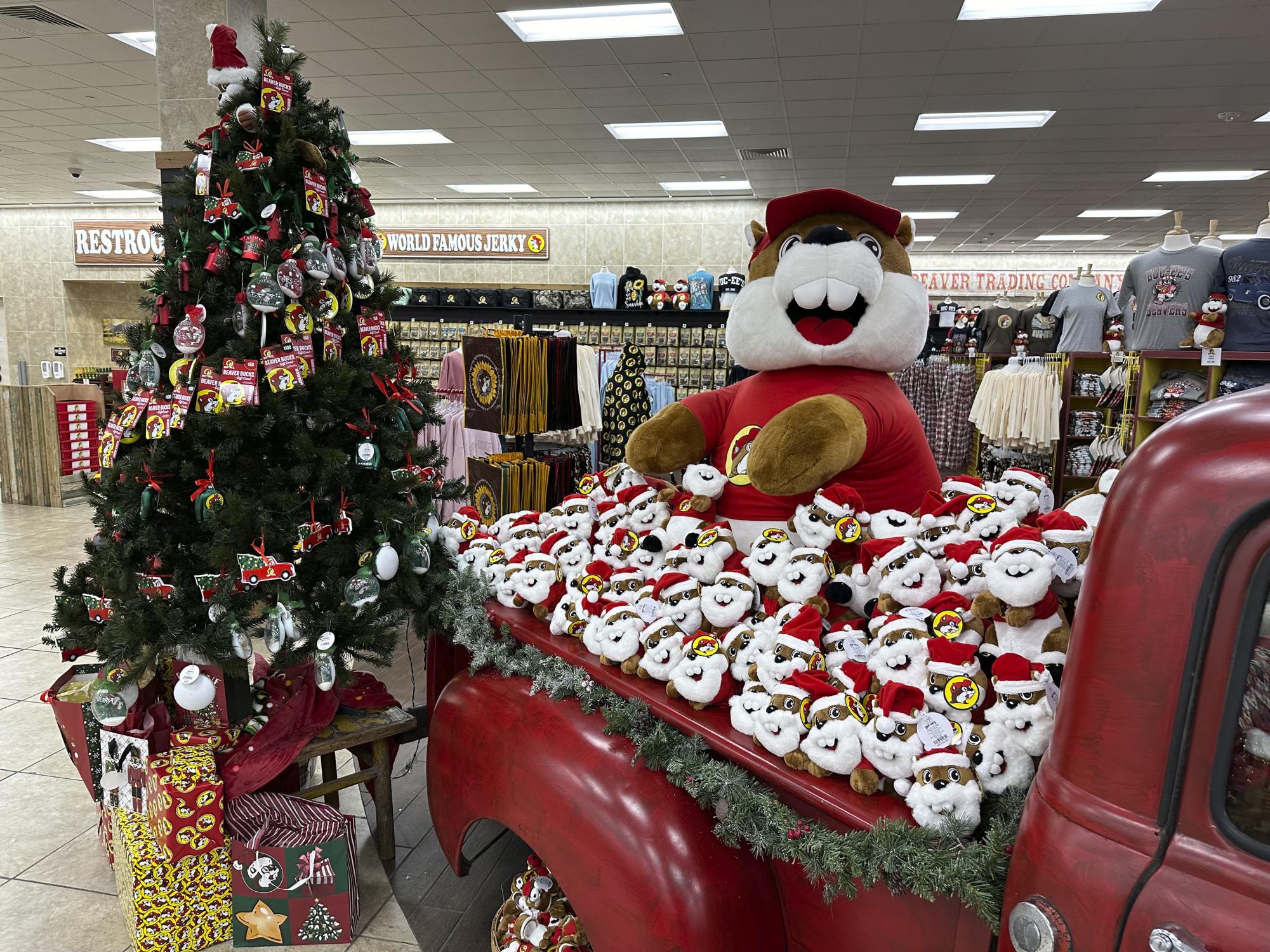 Beaver dolls decked out in Christmas apparel fill the back of a pickup truck on display in a Buc-ee's store early Sunday, Nov. 24, 2024, in Johnstown, Colo. (AP Photo/David Zalubowski)